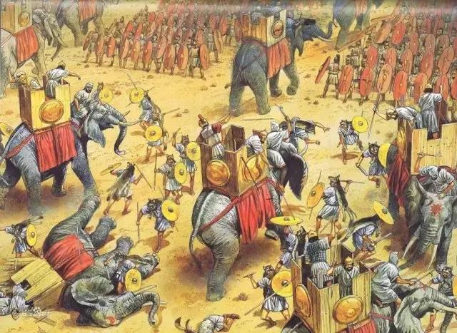 網路配圖 網路配圖