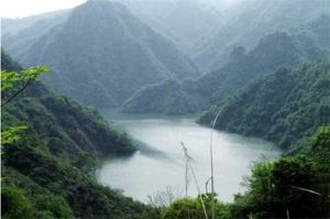 偏頭山森林公園 偏頭山森林公園