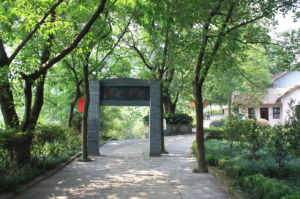 大有農場 大有農場