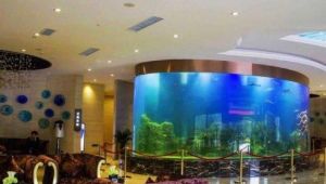 乙水灣溫泉水療 乙水灣溫泉水療