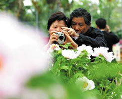 廣州番禺花花世界