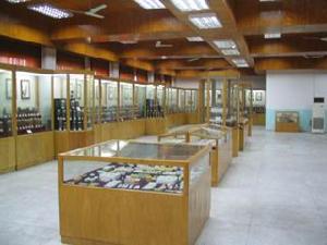 中國藥科大學中藥標本館 中國藥科大學中藥標本館