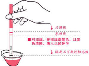 其機理是定性測定尿液中的人絨毛膜促性腺激素