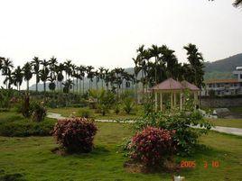 國營黃嶺農場 國營黃嶺農場