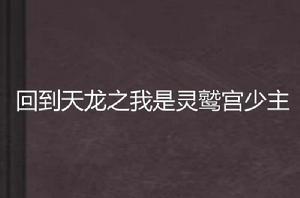 回到天龍之我是靈鷲宮少主 回到天龍之我是靈鷲宮少主