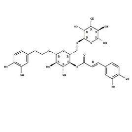 鉤果草提取物 鉤果草提取物
