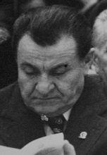 伊利耶·維爾德茨