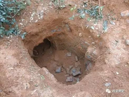 圖片源自網路 圖片源自網路