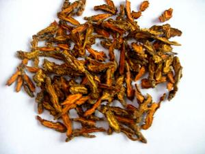 石柱黃連 石柱黃連