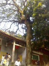 桂平西山風景名勝區美景