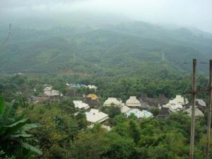 茴菜窪自然村 茴菜窪自然村