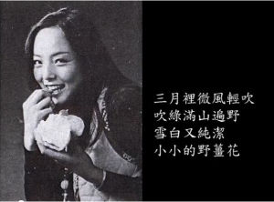 《野薑花我的回憶》 《野薑花我的回憶》