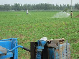 大廟集鎮 大廟集鎮