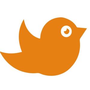 笨鳥跨境社交 笨鳥跨境社交