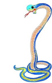 抗蛇毒血清 抗蛇毒血清