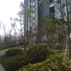 東湖壹號二期 東湖壹號二期