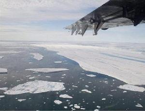 從沃德-亨特冰架斷裂的冰漂浮在海洋中