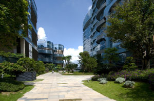 智慧廣場 智慧廣場