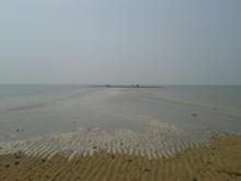 廉江車板龍頭沙漁港