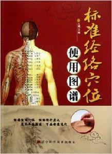 標準經絡穴位使用圖譜 標準經絡穴位使用圖譜