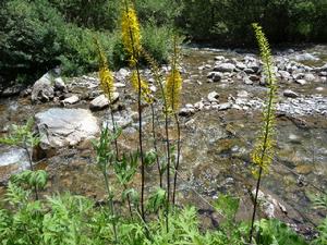 臨夏回族自治州