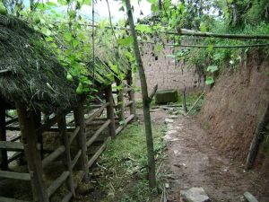 老虎山自然村 老虎山自然村