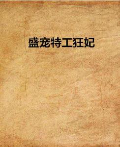 盛寵特工狂妃 盛寵特工狂妃