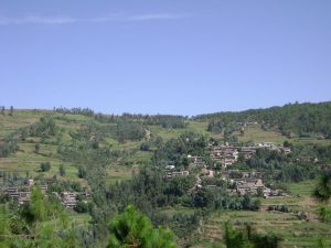 思可苴小村－全村概貌