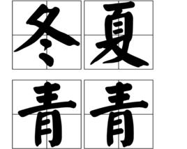 冬夏青青 冬夏青青