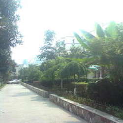 勝利二小區 勝利二小區