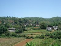 茅草地自然村 茅草地自然村