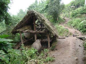 於薩落莫自然村 於薩落莫自然村