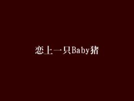 戀上一隻Baby豬 戀上一隻Baby豬