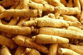 文登西洋參 文登西洋參