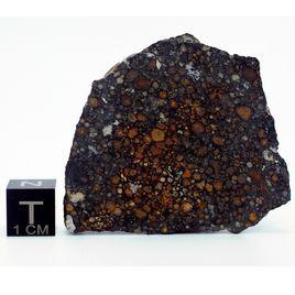 碳質球粒隕石 碳質球粒隕石