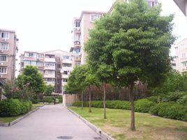 崮山小區 崮山小區