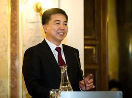 趙彬[原中國駐奧地利共和國大使]