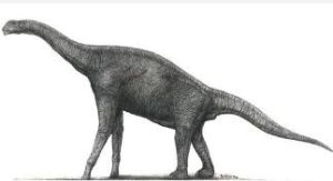 亞特拉斯龍 亞特拉斯龍