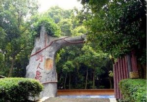 仙島湖野人島 仙島湖野人島