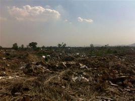 西夾河村[地址]