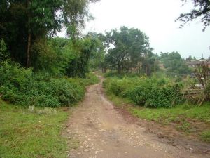 老唐勝村 老唐勝村