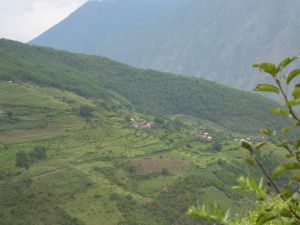 茶油關村 茶油關村