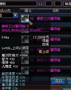 靜寂之閃耀項鍊