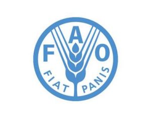 聯合國糧食及農業組織標誌