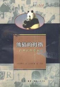 熊貓的拇指 熊貓的拇指