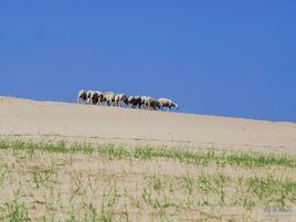 退化[詞語釋義]