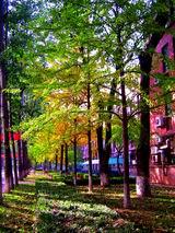 上安中心國小 上安中心國小