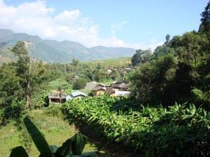 黃蟮寨自然村 黃蟮寨自然村