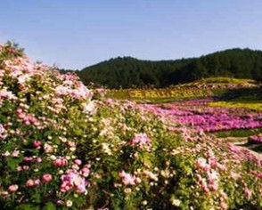 五腦山國家森林公園