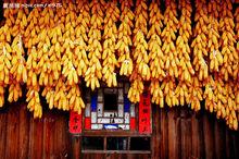 民俗[一種民間文化]